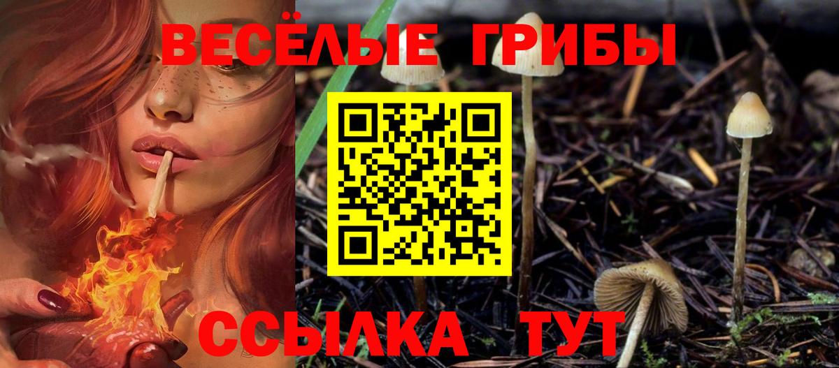 Псилоцибиновые грибы Cubensis Петропавловск-Камчатский